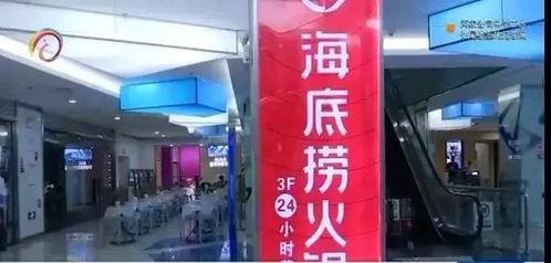市民爆料海底捞视频,市民爆料视频曝光惊人一幕 第2张 市民爆料海底捞视频,市民爆料视频曝光惊人一幕 第2张
